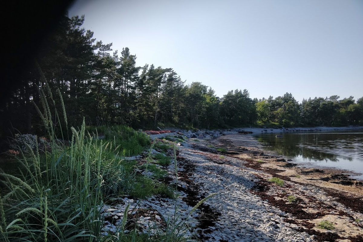 Alliklepa beach with sea and forest, coastal area where fossils can be found