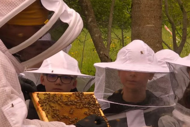 Job shadowing at a honey farm, beehives in the background