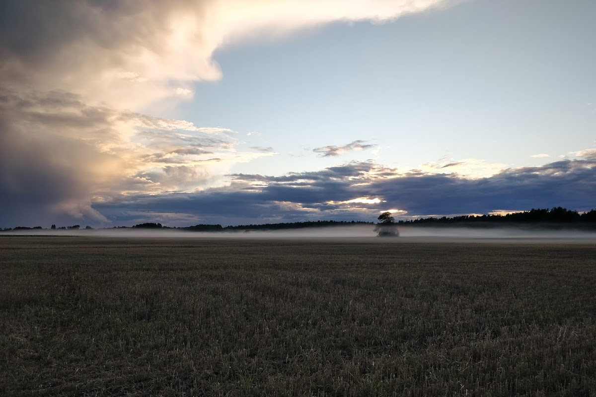 Early morning field behind Uneallika Puhketalu