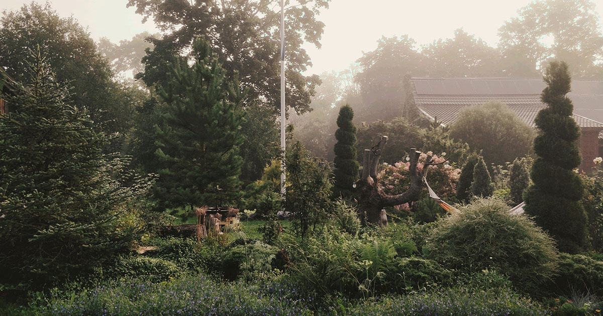 Kaunis hommik Uneallika Puhketalus – kogu kompleks Harjumaal loodusrahus